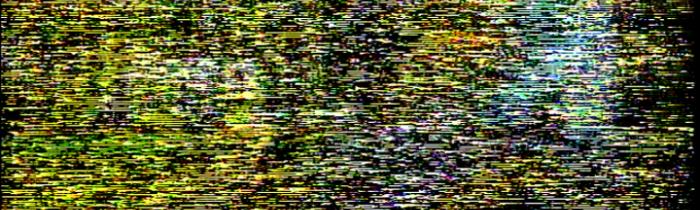 Video Head Clog artifacts from the A/V Artifact Atlas.  